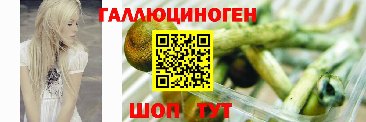 Галлюциногенные грибы Magic Shrooms  Вход с VPN  Пермь 